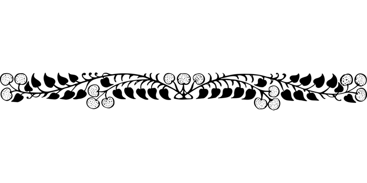 divider1-5946462_1280.png